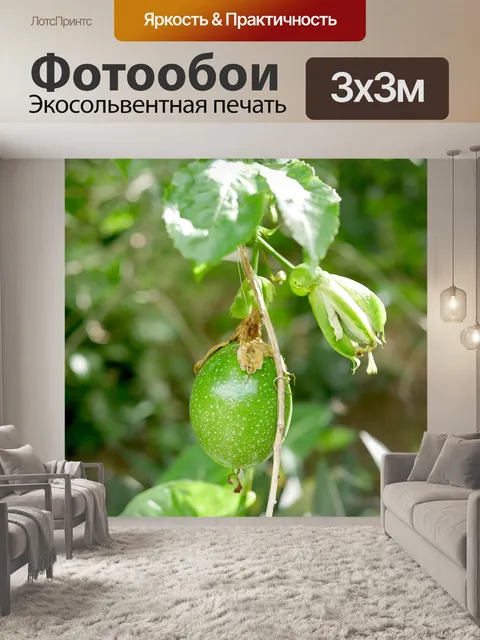 Фотообои Лист