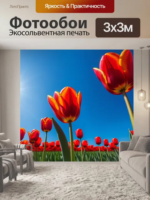 Фотообои алые тюльпаны на фоне голубого неба