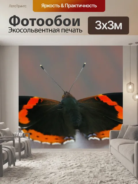 Фотообои Бабочка