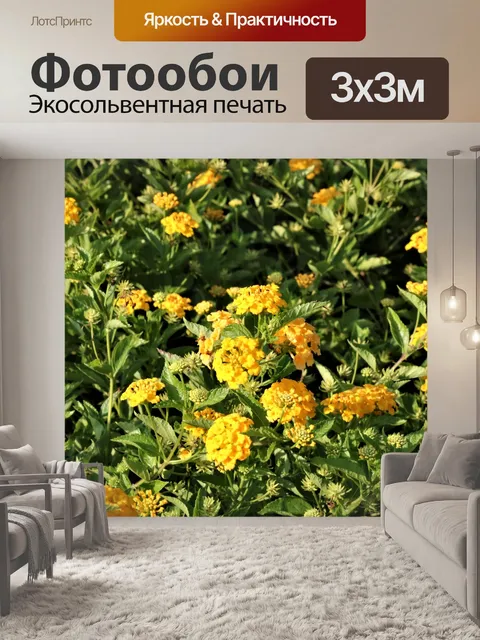 Фотообои Желтая Лантана Цветы Полный кадр