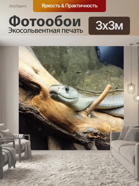 Фотообои Змея