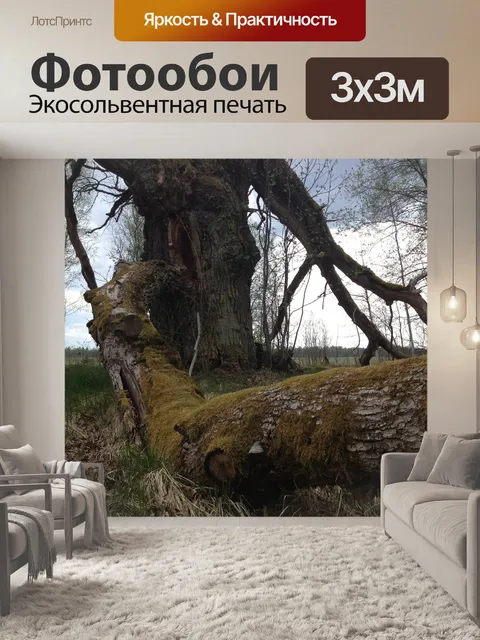 Фотообои Дерево