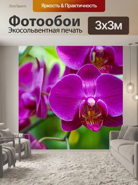 Фотообои Орхидея