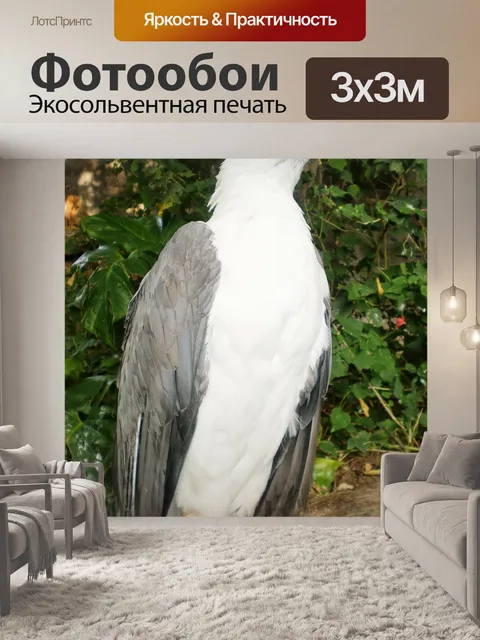 Фотообои Орел