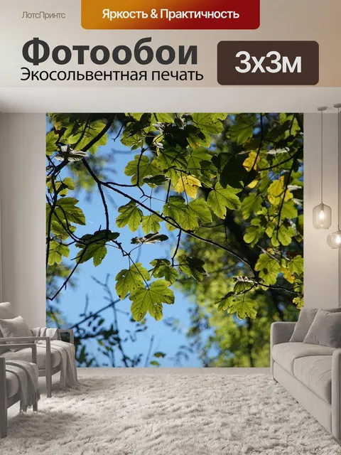 Фотообои Листья