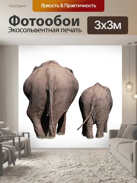Фотообои Слоны