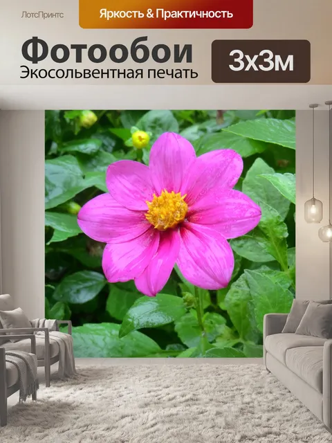 Фотообои Цветок