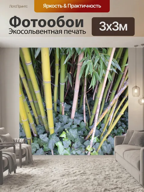 Фотообои Бамбук, соломенная растительность 04