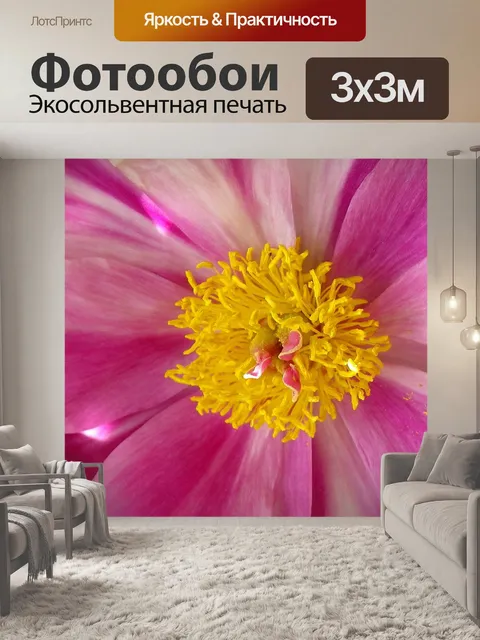 Фотообои Пион