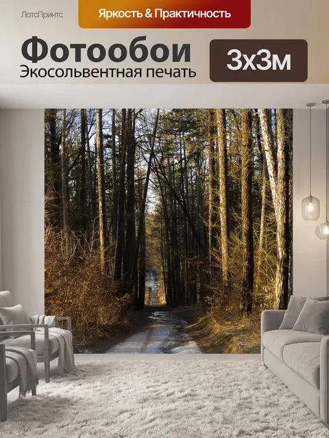 Фотообои Лес