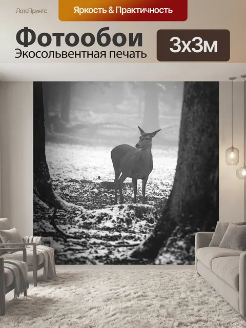 Фотообои Зима