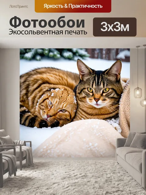 Фотообои коты, заворачивающиеся в теплые одеяла во время зимы