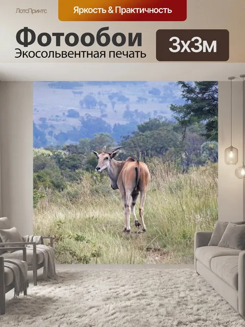 Фотообои антилопа в длинной траве