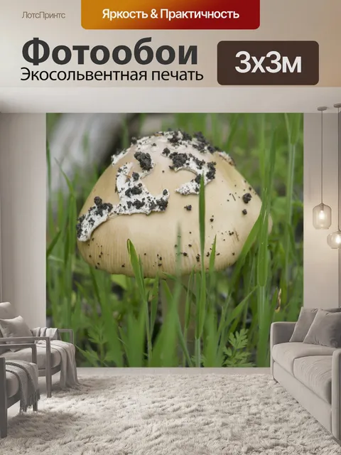 Фотообои Природа