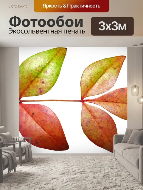 Фотообои Листья