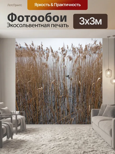 Фотообои Тростник
