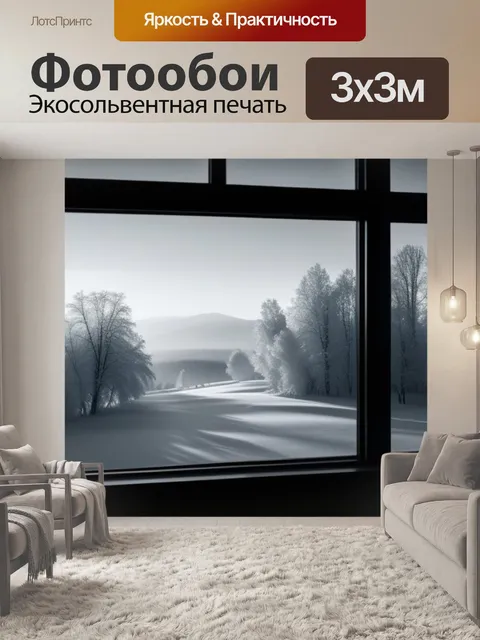 Фотообои зимний пейзаж с окна чернобелый