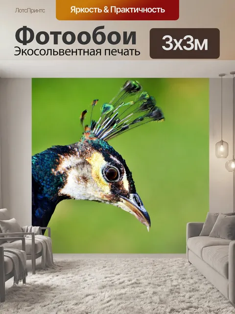 Фотообои Птица