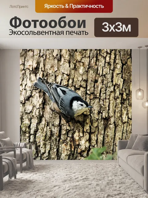 Фотообои Белая повязка на дереве на дереве