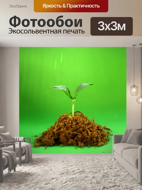 Фотообои Молодое дерево