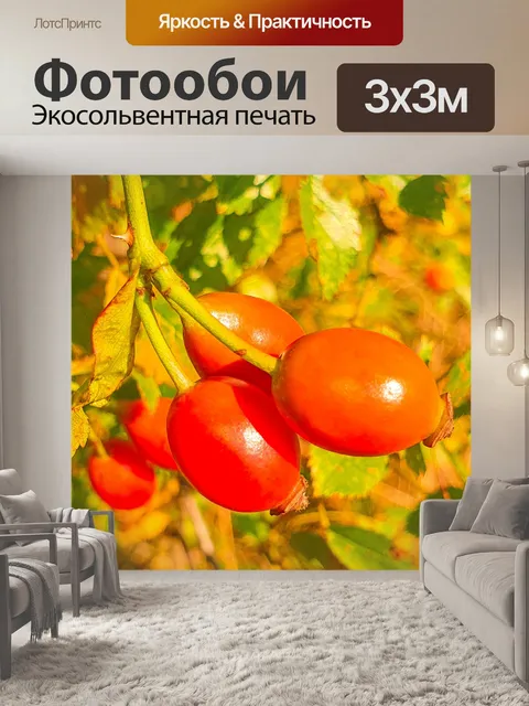 Фотообои Плоды шиповника осенью