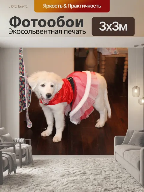 Фотообои Рождественский щенок