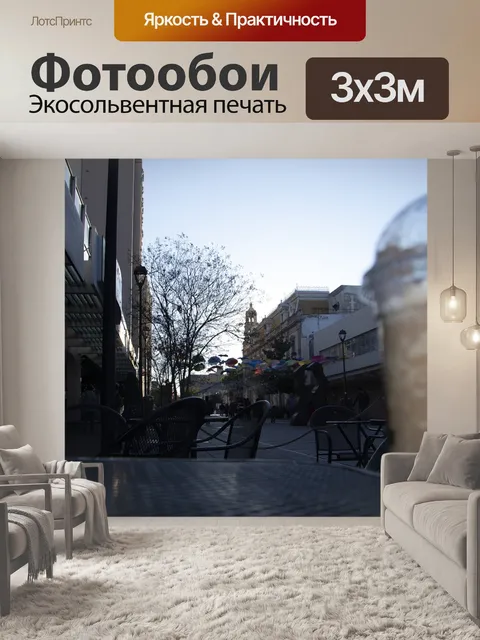 Фотообои Чихуахуа