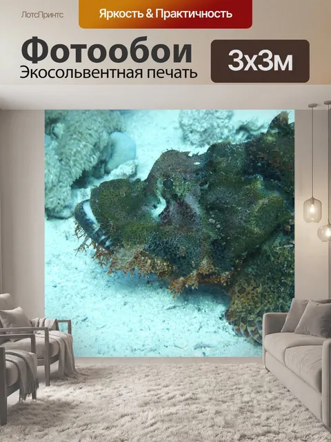 Фотообои Камень рыбы