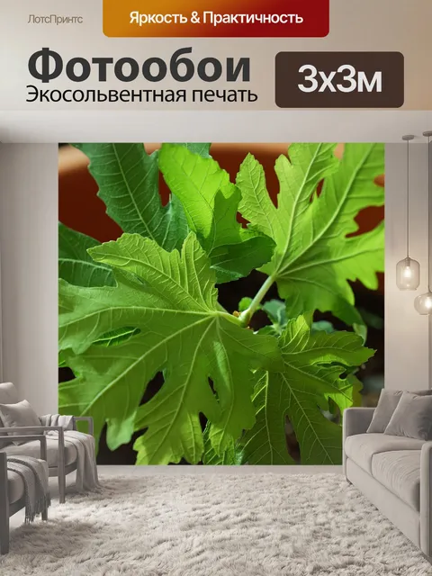 Фотообои Рис