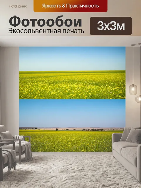 Фотообои переход между двумя мирами: один мир — это зелёные луга с цветами