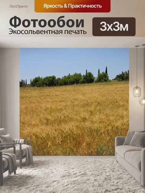 Фотообои Пшеница