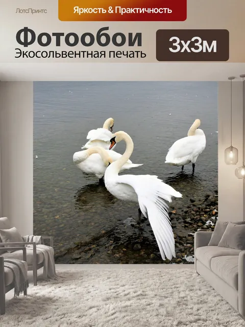Фотообои Стадо