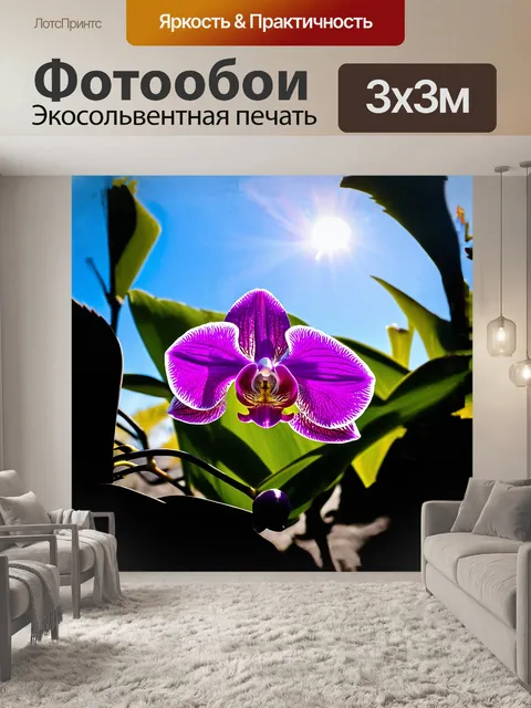 Фотообои фаленопсис с яркими фиолетовыми цветами, распускающимися среди тропической зелени