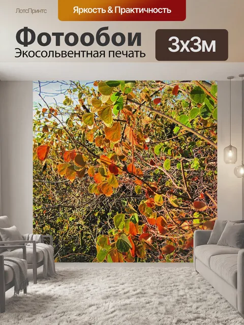 Фотообои ржавчина оставляет на мысе гордости