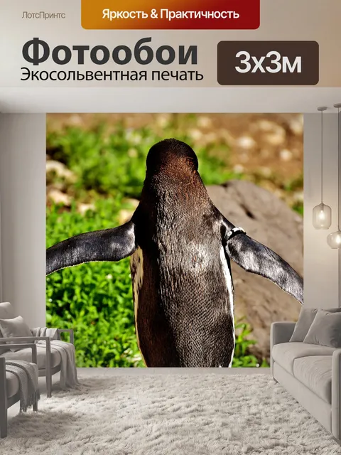 Фотообои Пингвин