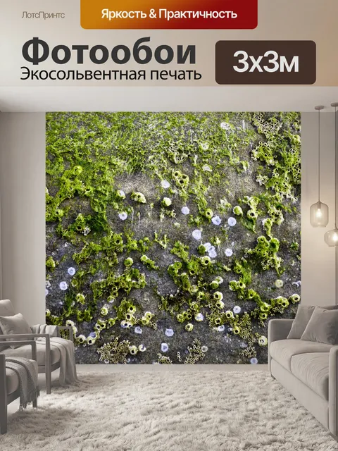 Фотообои Закономерности в Sealife