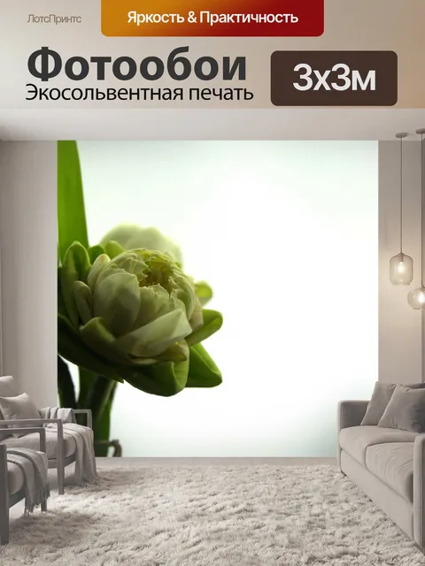 Фотообои Цветок белого лотоса