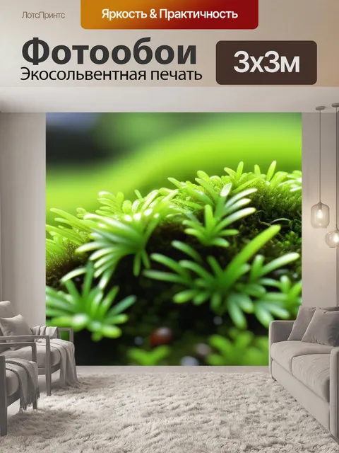 Фотообои роса на зеленом мхе