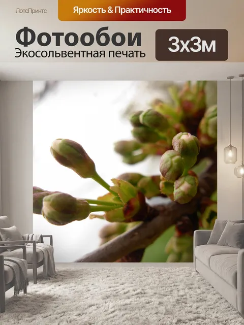 Фотообои Бутоны персик дикий