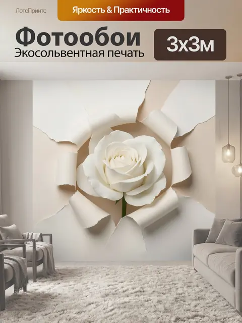 300 × 300 см · Экосольвентная печать