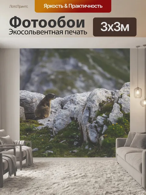 Фотообои Животное
