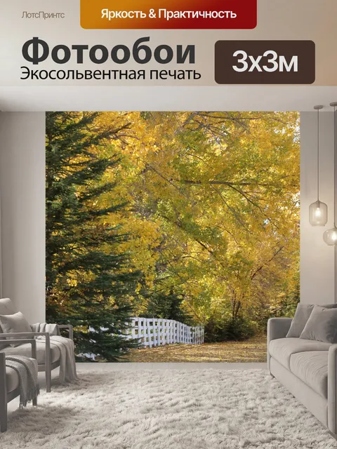 Фотообои Осенние краски перед двором