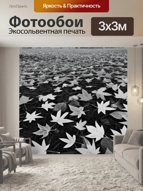 Фотообои пейзаж с листьями осенний чернобелый