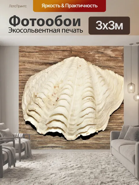 Фотообои Белая Арка Морская ракушка на дереве