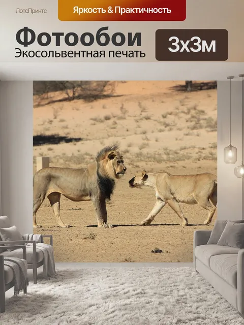 Фотообои Лев