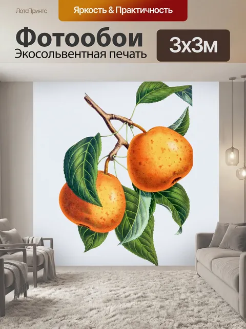 Фотообои Груши фрукты фрукты арт