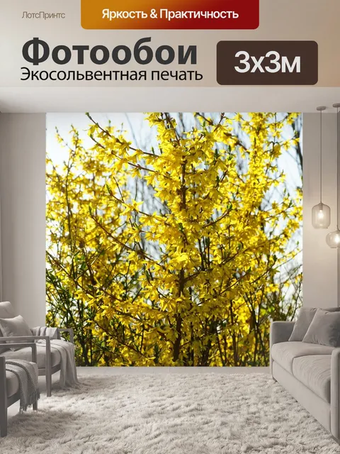 Фотообои Форсайтия
