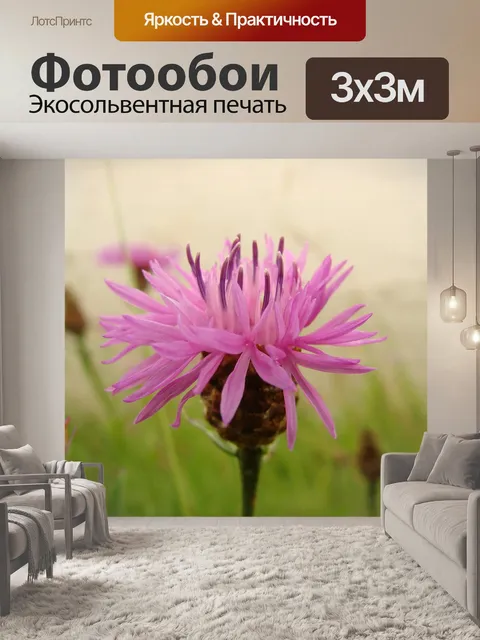 Фотообои Цветок