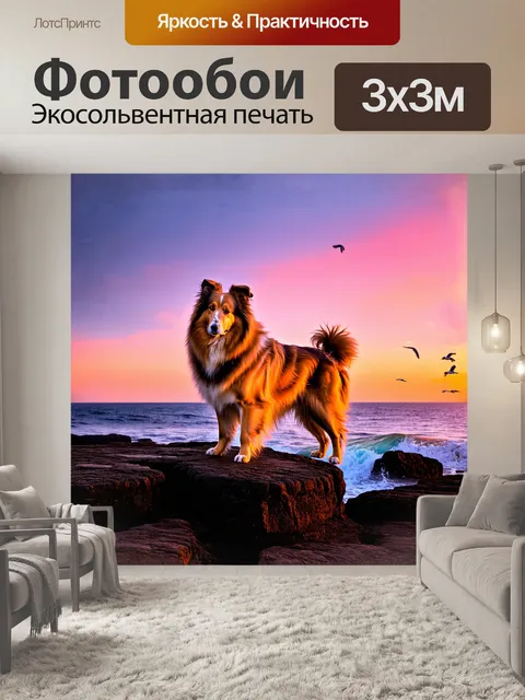 Фотообои грубая колли, стоящая на скалистом утесе, на фоне яркого заката, ее шерсть нежно подсвечена оранжевыми и…