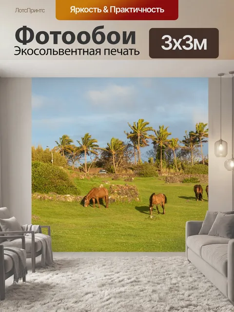 Фотообои Лошадь